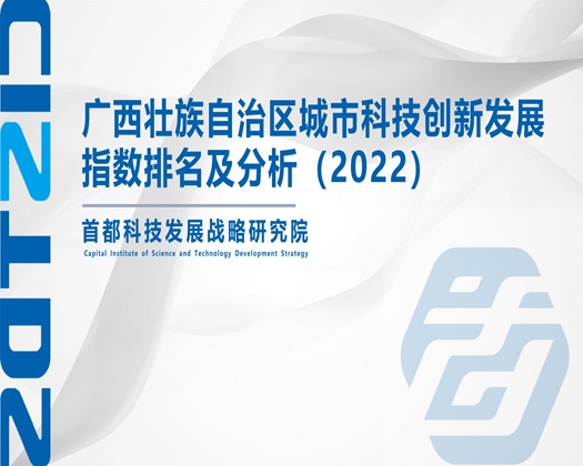 男人把屌插入女人的屄里面的软件【成果发布】广西壮族自治区城市科技创新发展指数排名及分析（2022）